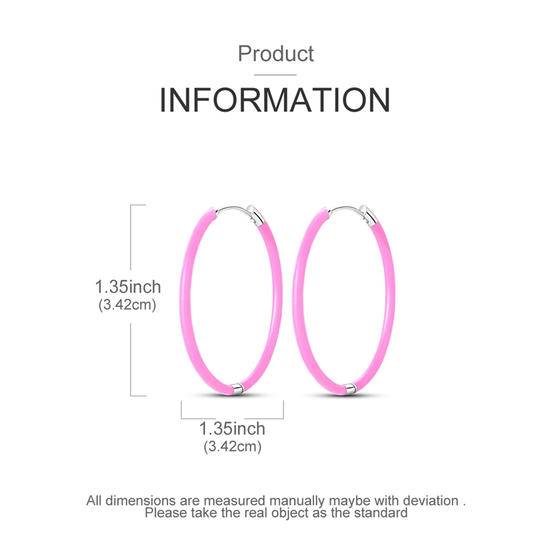 925 スターリングシルバーイヤリング女性スパークリングピン - Statement Earrings Oversized のレビューと価格